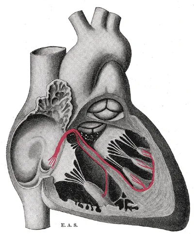 It&rsquo;s a heart. Valentine&rsquo;s Day? February? A perfectly logical picture for this post.