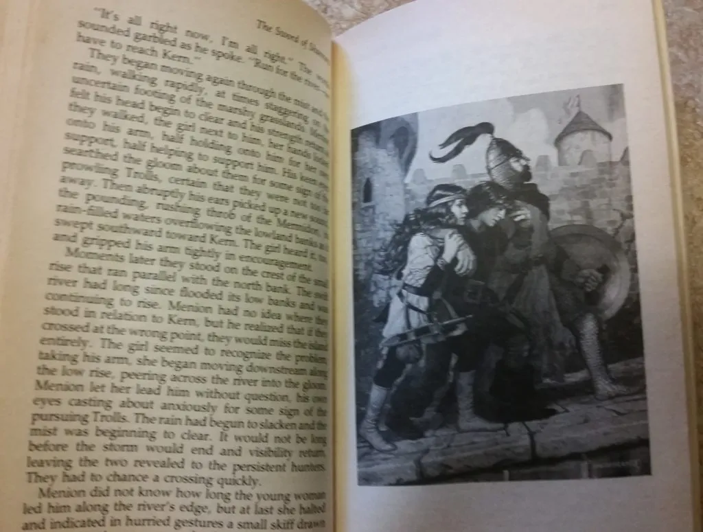 Hildebrandt art from the massive The Sword of Shannara paperback.