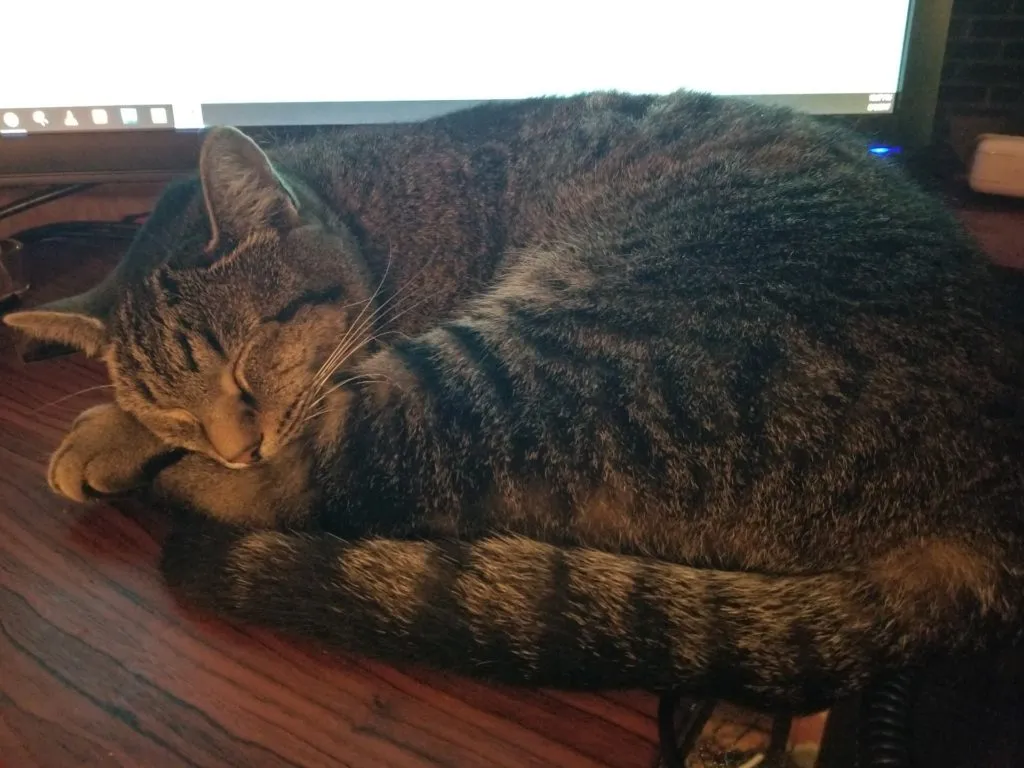 That&rsquo;s enough space for now. Nighty-night!