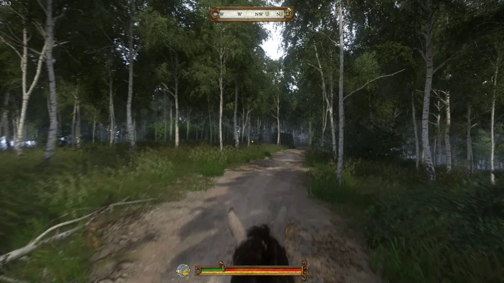 A birch forest, one of countless amazing scenery screenshots I could have placed here, which looks a thousand times better in the game.