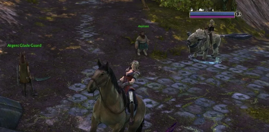 Didn&rsquo;t get that from a dungeon at level 12, that&rsquo;s for sure.