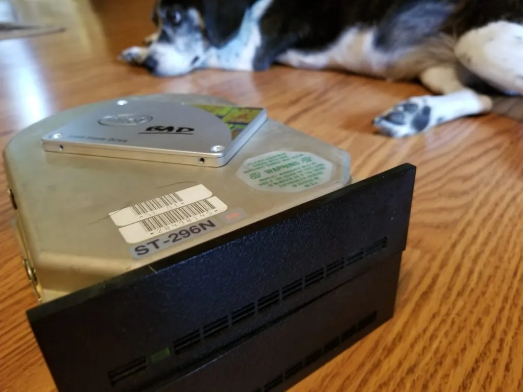 My dog likes to be involved with everything.