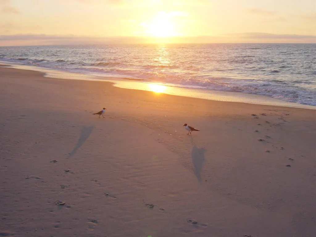 Dawn over the Atlantic ocean at Chincoteague.
